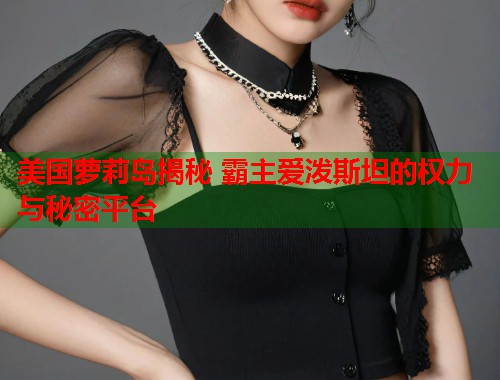美国萝莉岛揭秘 霸主爱泼斯坦的权力与秘密平台  第1张