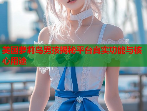 美国萝莉岛男孩揭秘平台真实功能与核心用途  第1张
